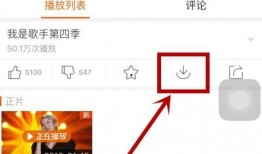 歌手爆料最新视频播放下载,最新视频播放下载幕后故事