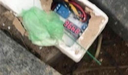 柬埔寨赌场爆料视频最新,揭秘奢华背后的黑暗面