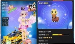 飞车最新宠物爆料堆堆,飞车新宠物的萌动魅力