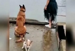 暴躁老哥最新爆料,揭秘娱乐圈惊人内幕！