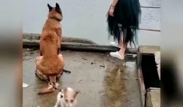 暴躁老哥最新爆料,揭秘娱乐圈惊人内幕！