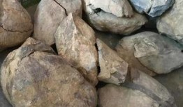 海螺碎石价最新爆料,揭秘市场波动背后的真相