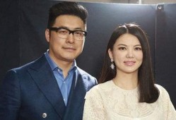 王岳伦和李湘最新爆料,揭秘娱乐圈背后的真实故事