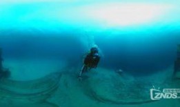 鲨鱼最新爆料视频下载安装,惊心动魄的幕后真相大起底