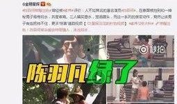 名人最新爆料视频大全,视频大全背后的惊人真相