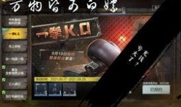 cf5最新爆料,揭秘全新游戏玩法与升级内容