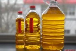 劣质食用油爆料标准最新,最新爆料标准曝光，食品安全警钟长鸣