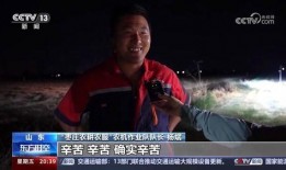 沃神最新爆料误判事件,揭秘篮球赛场上的争议瞬间