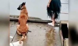 暴躁老哥最新爆料,揭秘娱乐圈惊人内幕！